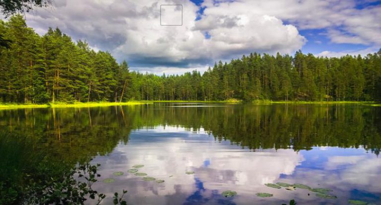 Видеть во сне фотографии